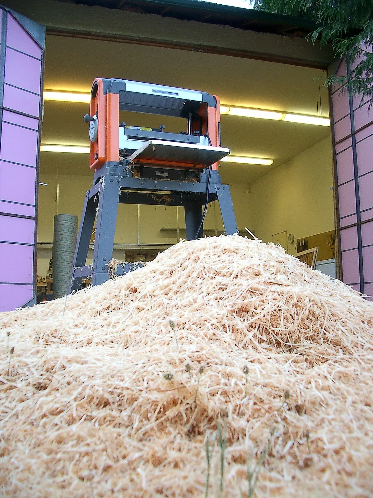 A large pile of fresh pine wood shavings, the type of bedding used to build a deep litter base for winter