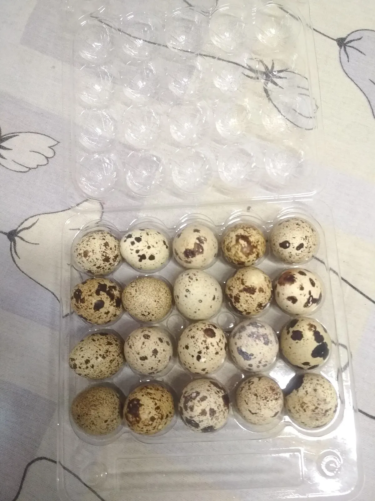 A small batch of fresh quail eggs, the size and quantity typical of a hatchery order